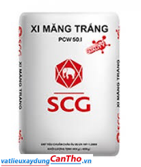 Xi Măng Trắng SCG PCW 50