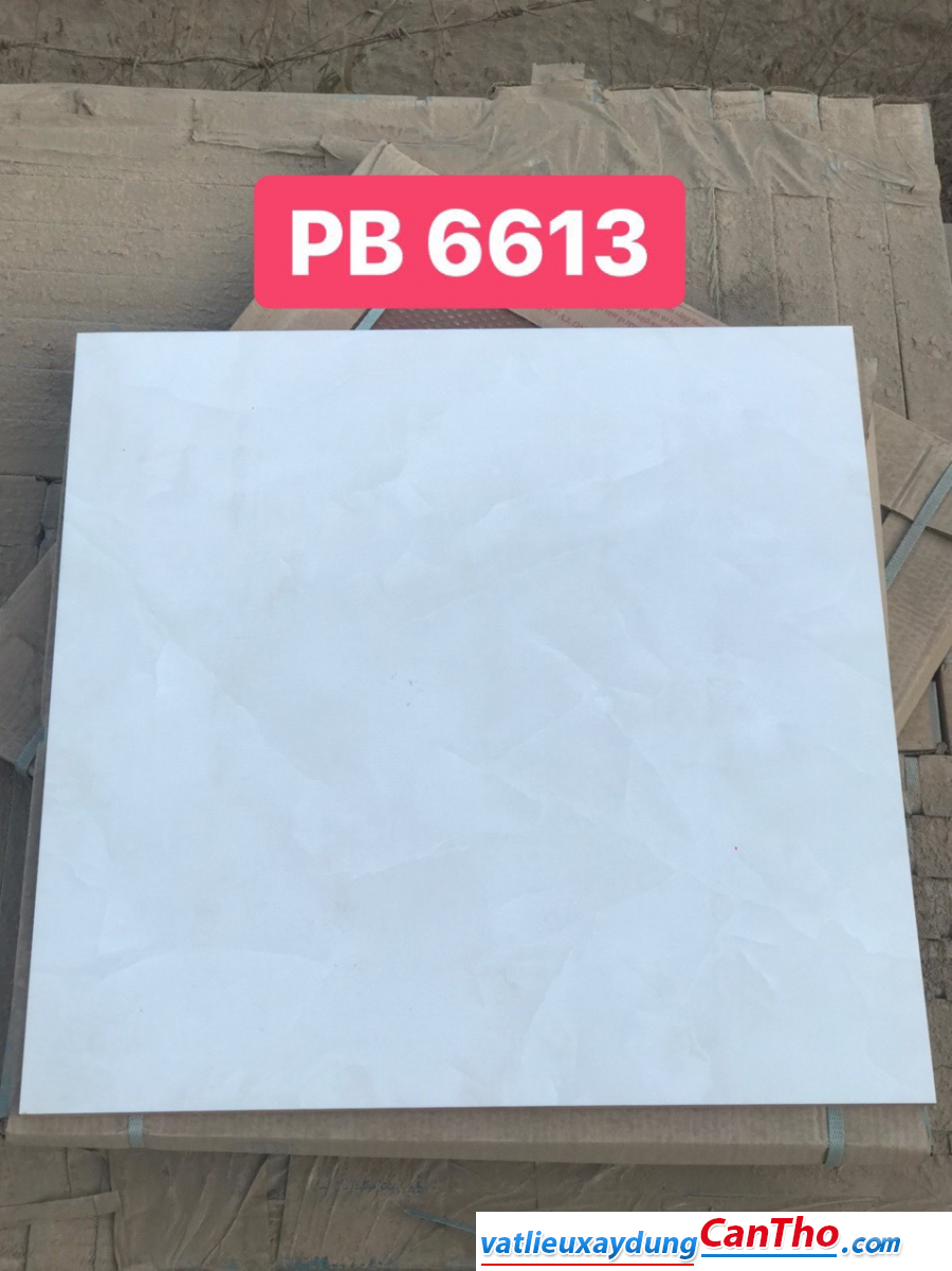 PB 6613