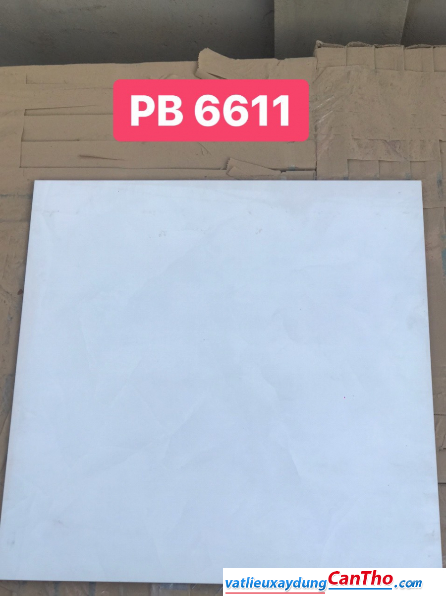 Gạch lát nền PAK PB6611