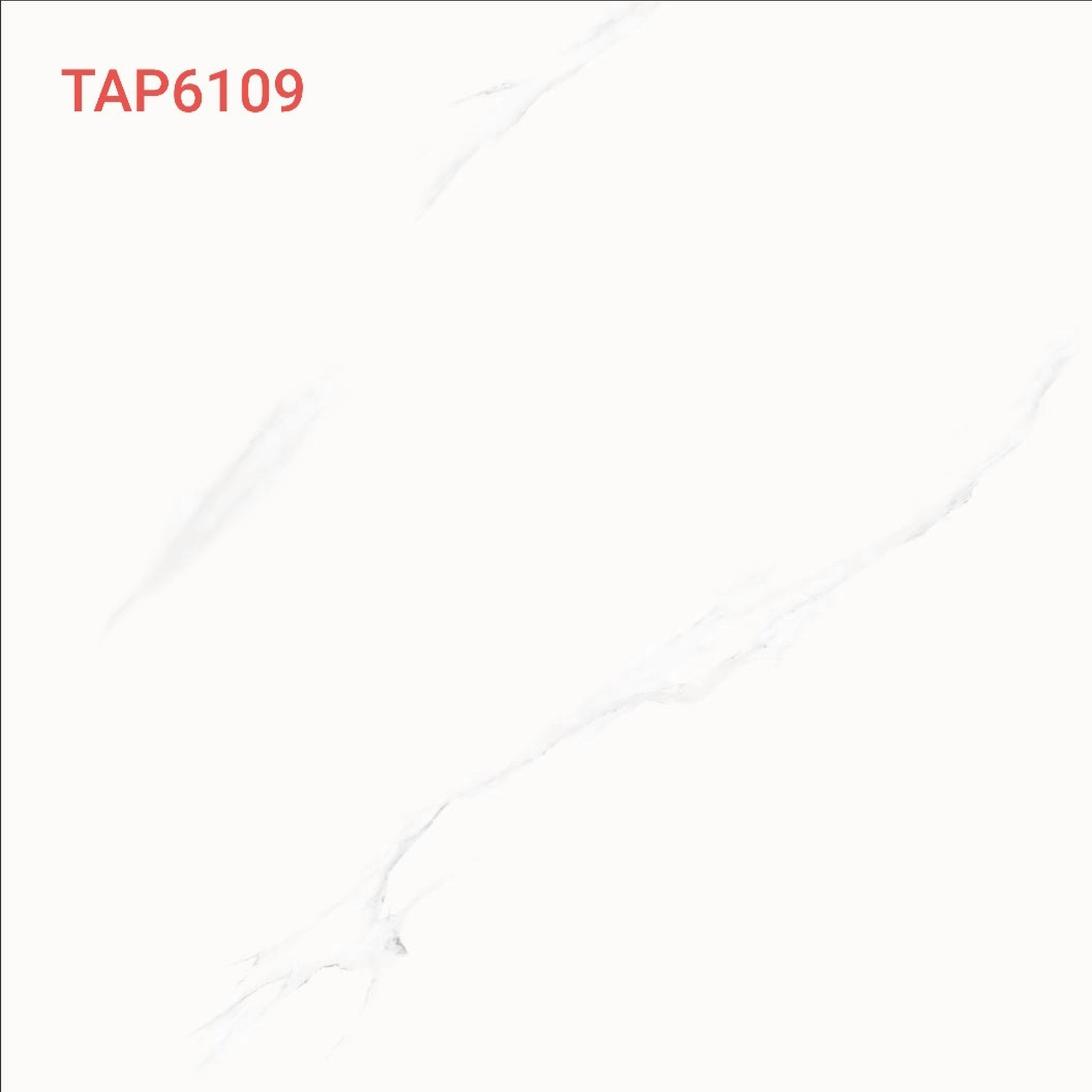 Gạch lát nền FiCo TAP 6109